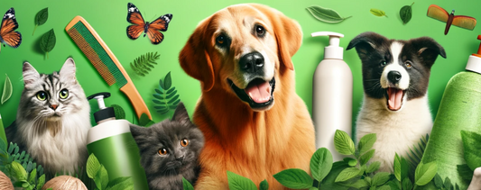 Eco-Friendly Pet Care: How to Make a Difference